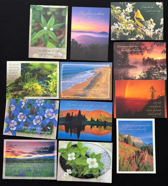 Lot of 12 Assorted Religious Greeting Cards  + Envelopes by God's Creation 2004