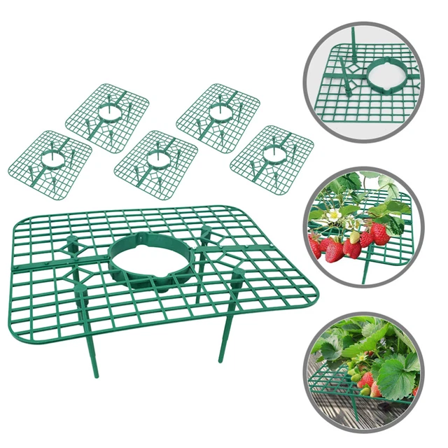 Lot De 5 Supports Pour Fraisiers - Protège Fruits Du Sol - Idéal Jardin Et Pot - Facile à Monter