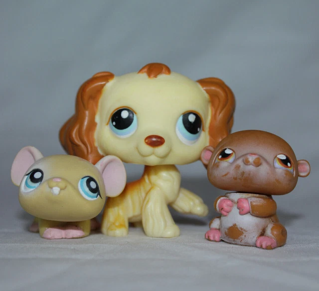 Little pet best sale shop cocker spaniel