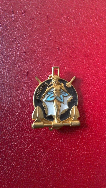 INSIGNE MILITAIRE DE Marine Aviso Dragueur La Boudeuse Be EUR 20,00 - FR