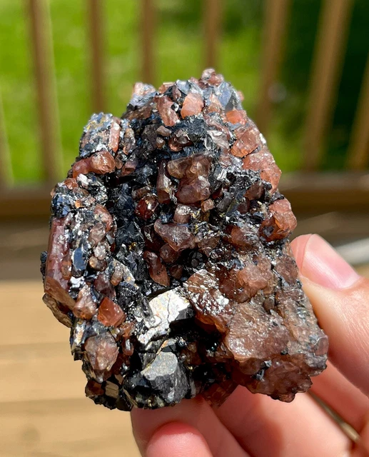 Red Bustamite w/ Galena xls: Broken Hill. New South Wales, Australia 🇦🇺 Red Bustamite w/ Galena xls: Broken Hill. New South Wales, Australia 🇦🇺
