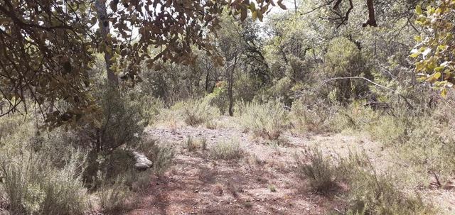 terrain 5800M2 hérault proche Saint mathieu de tréviers