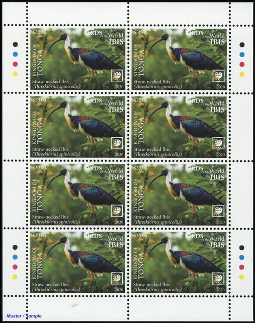2020, Tonga, 2339-42 KB, ** - 2856043