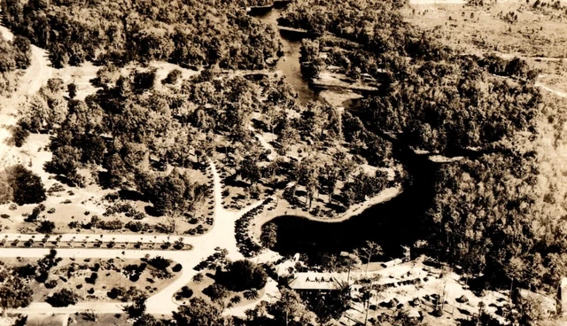 RPPC Airplane View Silver Springs Florida Real Photo Vintage Postcard P217