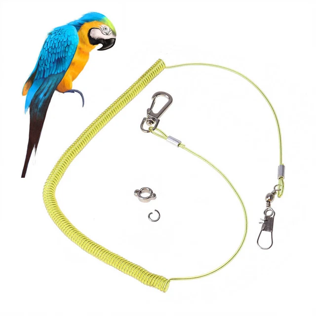 1 pz 20 metri corda da allenamento Vogelleine imbracatura volante corda elastica anti morso