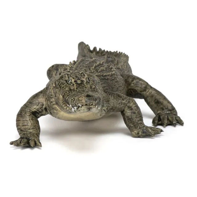 PAPO Wild Animal Kingdom Alligator Toy Figure, Multi-colour (50254)