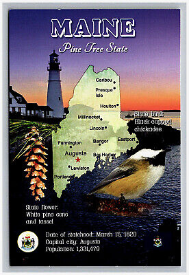 Postcard 4x6 ME Pine Tree State Map Bird Flower Advertising View Maine