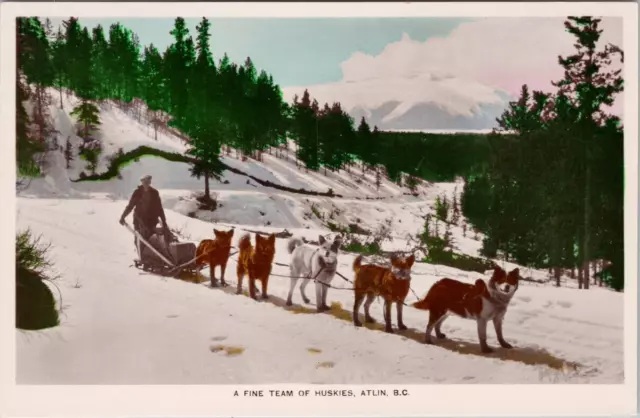 Atlin BC Fine Team of Huskies Sled Dogs Taylor Camera Products RPPC Postcard H60