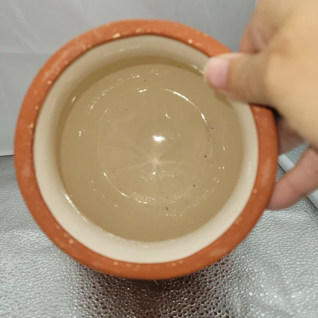 11 Zoll Porzellan Terra Cotta orange strukturiert handbemalt Urne Gin Glas mit goldenen Blumen 9