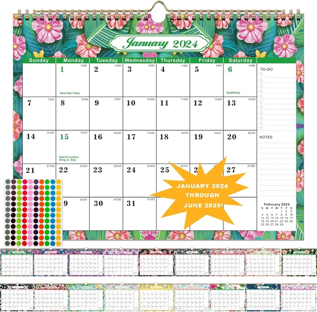 WALL CALENDAR 20242025,CALENDAR January 2024 June 2025, 18 Months