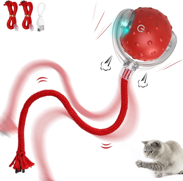 Interactive Cat Toy Electric Automatic Cat Toys for Indoor Cats,Rechargeable Irr