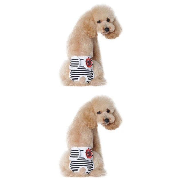 2 Piezas Pantalones Fisiológicos Perro Sombreros Perro Ropa Interior Mujer Cachorro Pañal