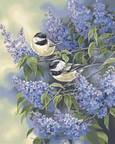 Paint By Numbers - A Pair of Birds - 40x50 DIY painting kit - AU Stock