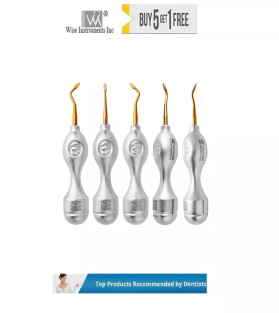 Dental Spade Elevator Bernard Surgical Extraction Spade Elevator Set of 5.