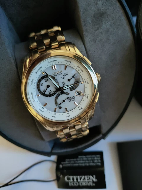 CITIZEN ECO DRIVE PERPETUAL Calendar Calibre 8700 Men s Watch BL8002 59A 199.00 PicClick UK