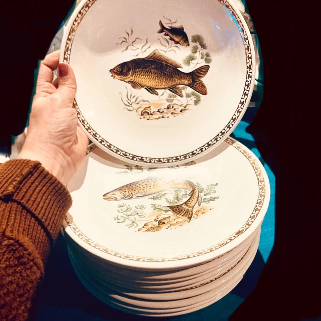 Lot De 10 Assiettes Porcelaine Chinoise – Motif Carpe Koi, 20cm, Parfait Pour Table élégante