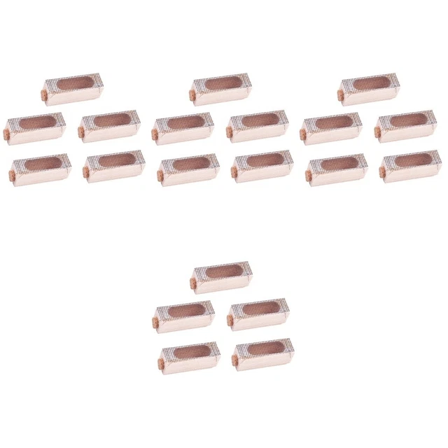 20 pz strumento per apicoltura attrezzature per apicoltura forniture per apicoltura