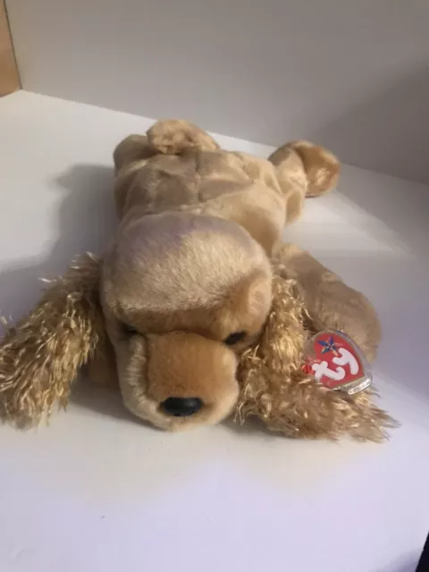 Ty Beanie Buddy - SPUNKY the Cocker Spaniel Dog (13 Inch) with MINT TAGS