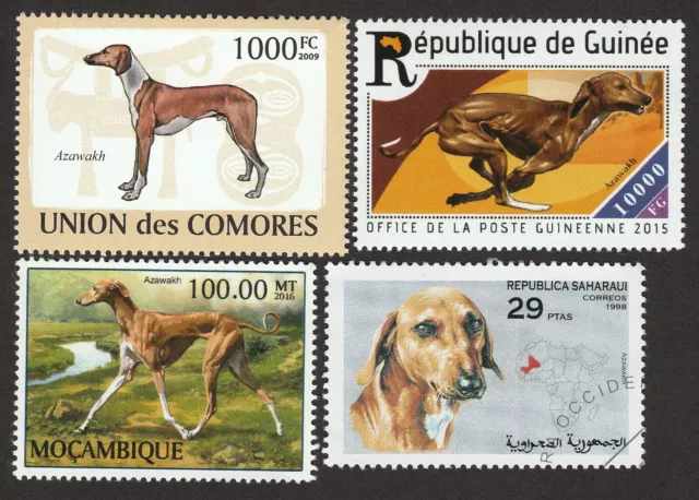 AZAWAKH ** Int'l Dog Postage Stamp Art Collection ** Unique Gift Idea **