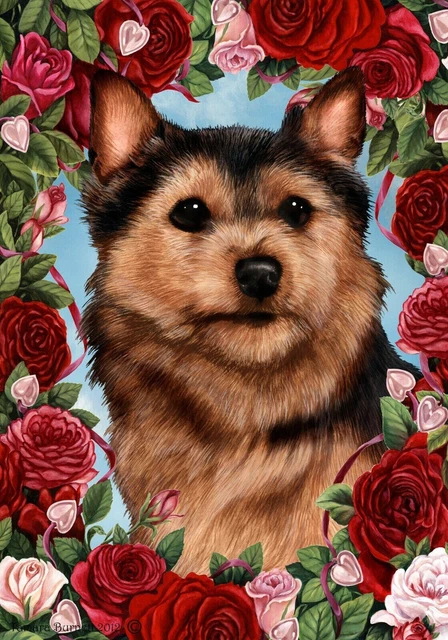 Roses House Flag - Black and Tan Norwich Terrier