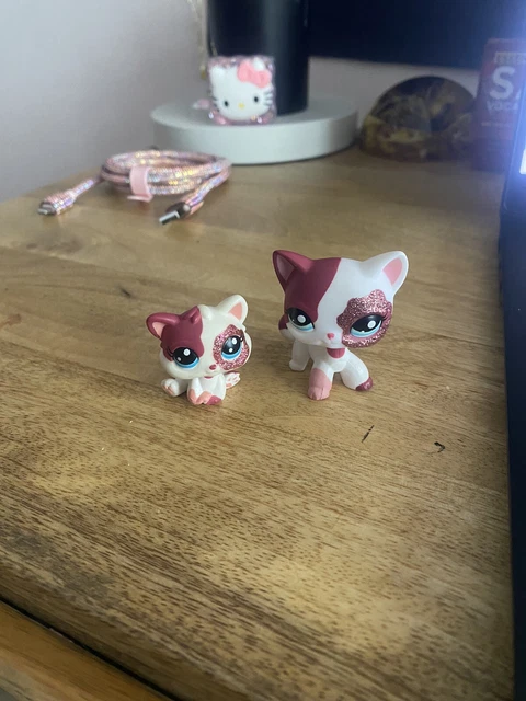 Littlest Pet Shop #2291 - Chat Européen Original Hasbro - Authentique