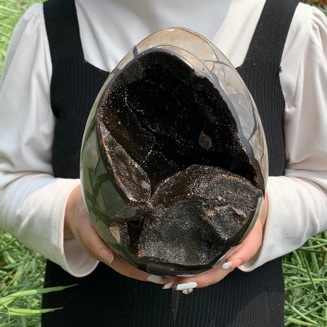 11.88LB Natural Dragon Septarian Geode Quartz egg Cluster Crystal Healing DQ409