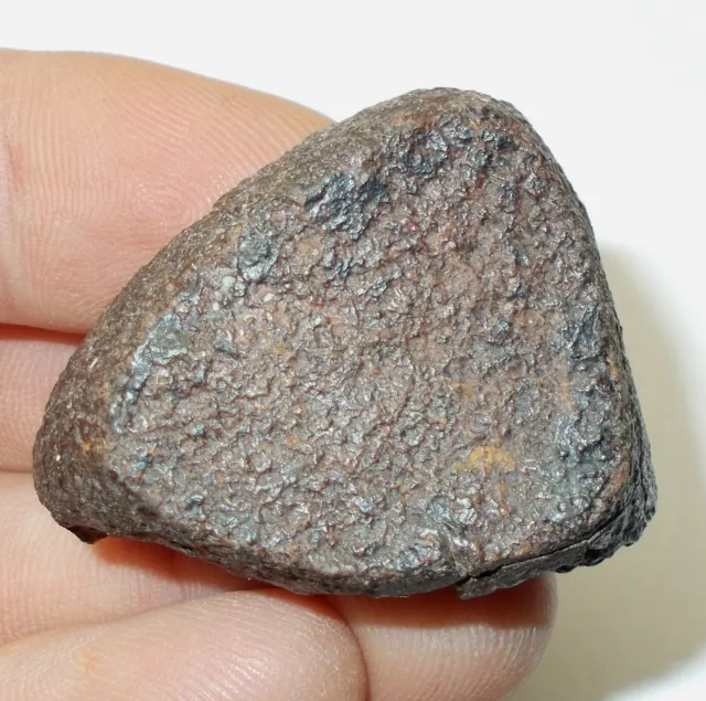 NWA 869 Chondrite Meteorite from North Africa 45 grams meteorites Ref:WE3.MTL 2