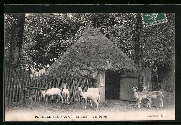CPA Pougues-les-Eaux, le Parc, les Daims 1908