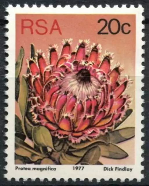South Africa 1977-82 SG#425a 20c Proteas, Plants Definitive P14x13.5 Photo#E9016