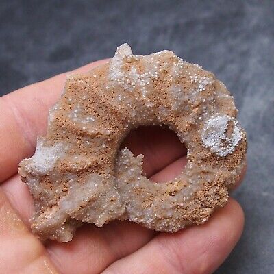 72mm Ammonite Calcite Mineral Fossil Ammonite Late Cretaceous Coniacian