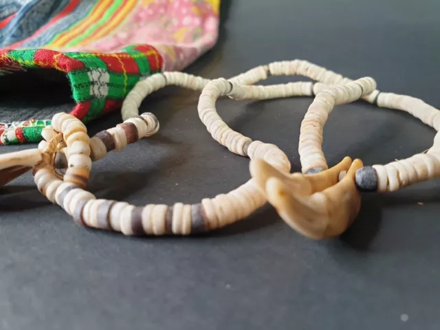 Old Papua New Guinea Highlands Kina Shell Necklace with Dog Fangs …beautiful col