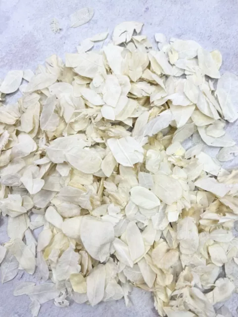 Natural Biodegradable Wedding Confetti Ivory Petals Dried Vintage Flowers For 50