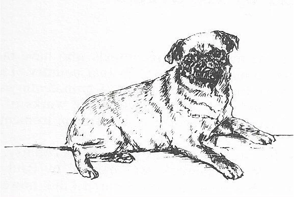 Brussels Griffon #1 - CUSTOM MATTED - 1963 Vintage Dog Art Print 0507 CLD
