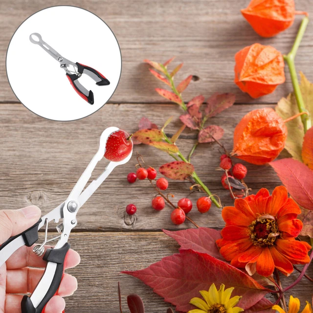 FRUIT PITTER HAWTHORN Corer Removing Tool Red Dates Remover £8.48