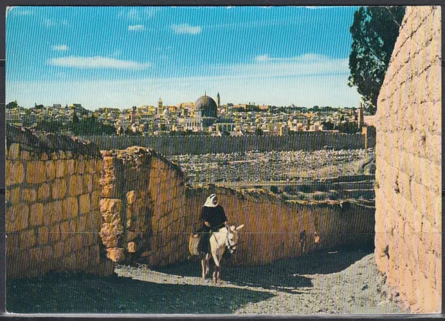 Jordanien Jordan used Post Card Postkarte Landschaft landscape Jerusalem [cm547]