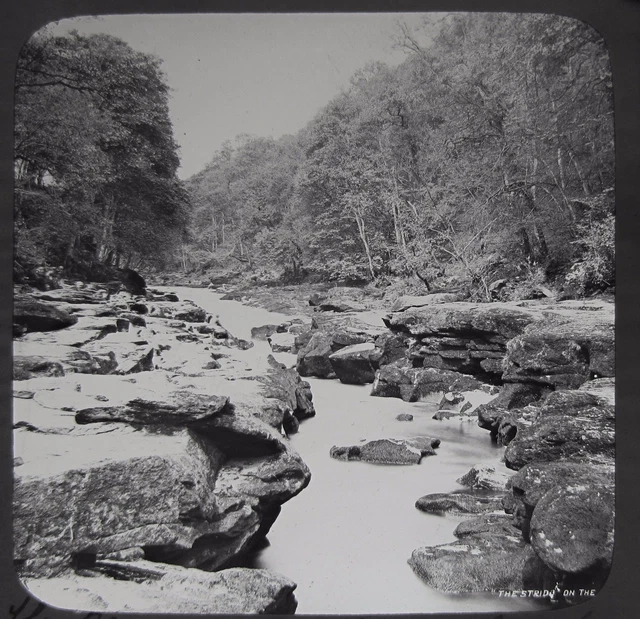Glass Magic Lantern Slide THE STRIDE ON THE RIVER WHARF C1890 PHOTO YORKSHIRE