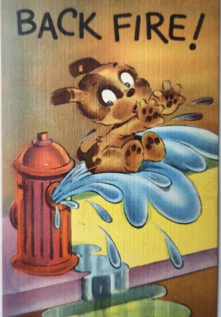 Dog Fire Hydrant Water Back Fire Funny Humor Postcard