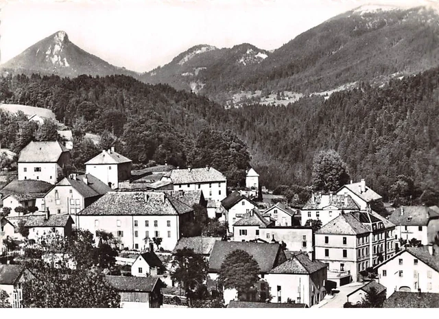 25 .n° 204351.jougne.vue générale. cpsm - 15 x 10.5 cm.