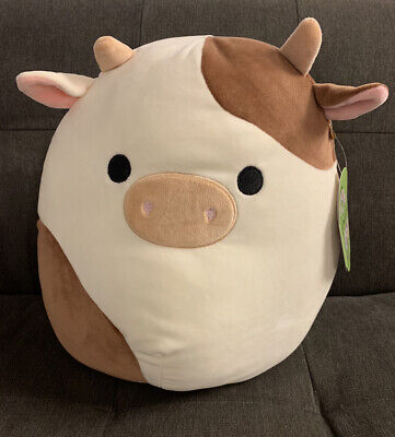 brown cow squish mallow