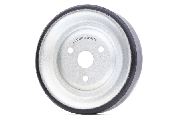 FEBI BILSTEIN Poulie pompe à eau Poulie de pompe à eau 102466 pour DS pour DS5
