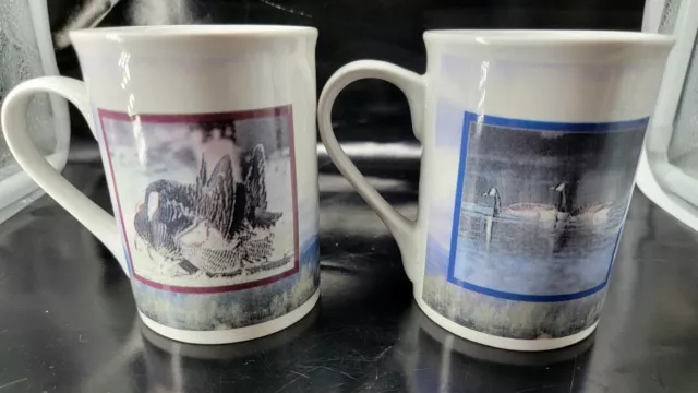 Two Wild Turkey/Ducks Coffee Mugs - White Cup Turkey and Ducks- 10 oz