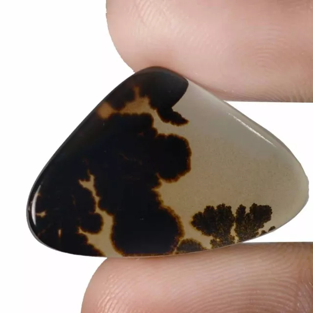 09.60 Cts 100% Natural Scenic Dendritic Agate Tree Cabochon Loose Gemstone TS39