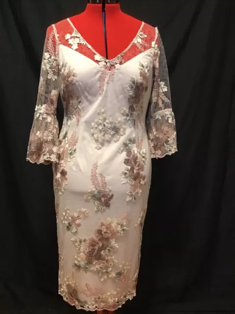 ladies dress size 12