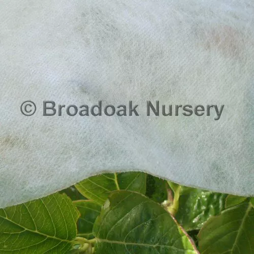 10m x 1.5m Heavyweight Horticultural Garden Fleece, 30gsm Plant Frost Protection