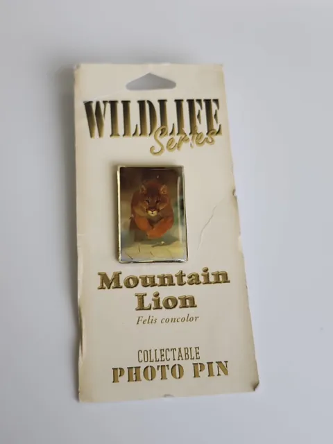 Mountain Lion (Felis Concolor) Collectable Photo Pin Wildlife Series