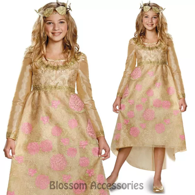 CK319 Princess Aurora Coronation Gown Deluxe Child Girls Maleficent Costume