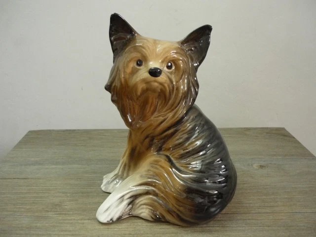 Happy Tail Yorkies and Maltese - Yorkshire Terrier Puppies for Sale in Happy Tail Yorkies and Maltese - Yorkshire Terrier Puppies for Sale in