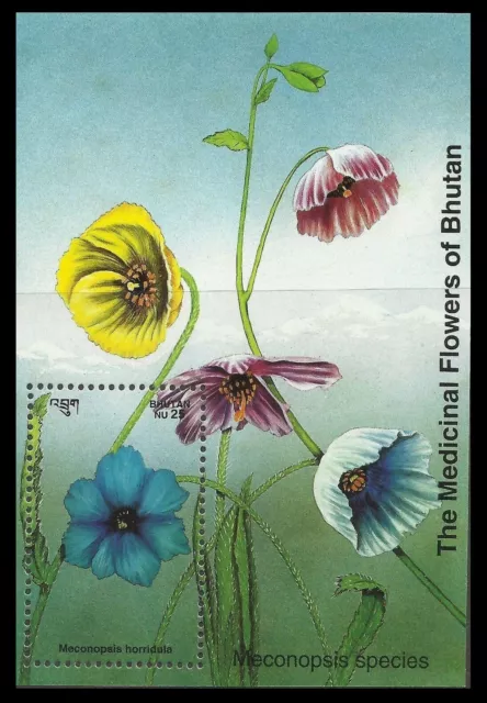 107. Bhutan 1993 Tampon M/S Médicinale Fleurs De Bhutan. MNH