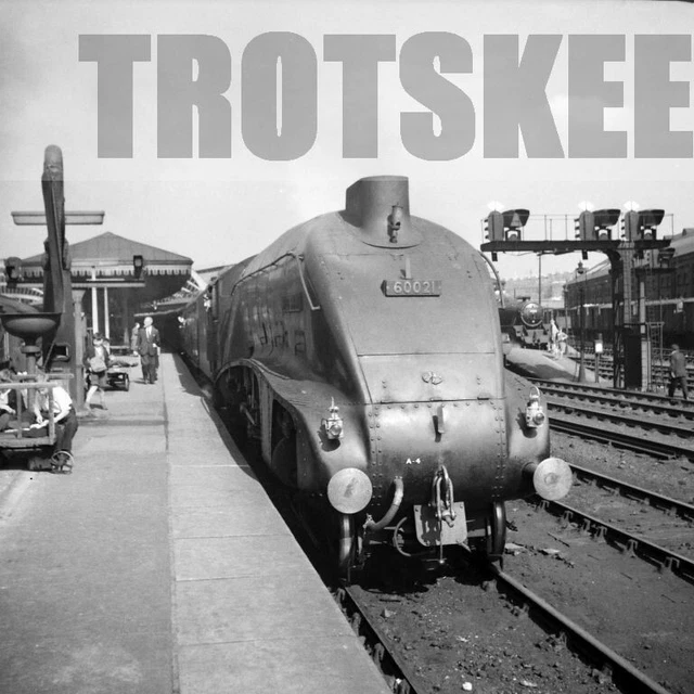 Larger Negative BR British Railways Steam Loco 60021 Class A4 York 1958