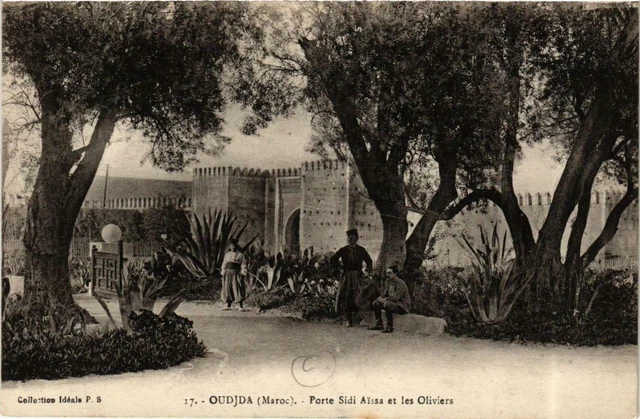 CPA AK OUDJDA Porte Sidi-Aissa and the Olive Trees MOROC (720256)